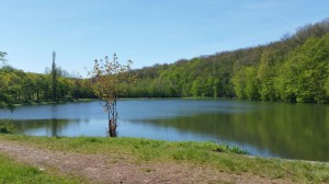 IMG-20160507-WA0010
